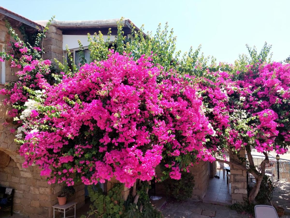 Landhaus Cyprus Villages & Restaurant - Location - - With Access To Pool And Stunning Views Tochni