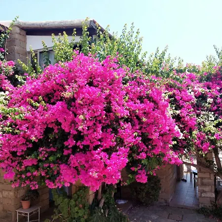 Cyprus Villages Hotel & Restaurant - Central Location - Bed & Breakfast - With Access To Pool And Stunning Views Tochni Exterior photo