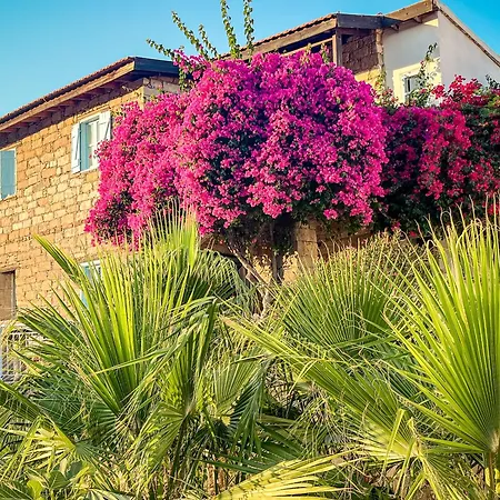 Cyprus Villages Hotel & Restaurant - Central Location - Bed & Breakfast - With Access To Pool And Stunning Views Tochni Exterior photo