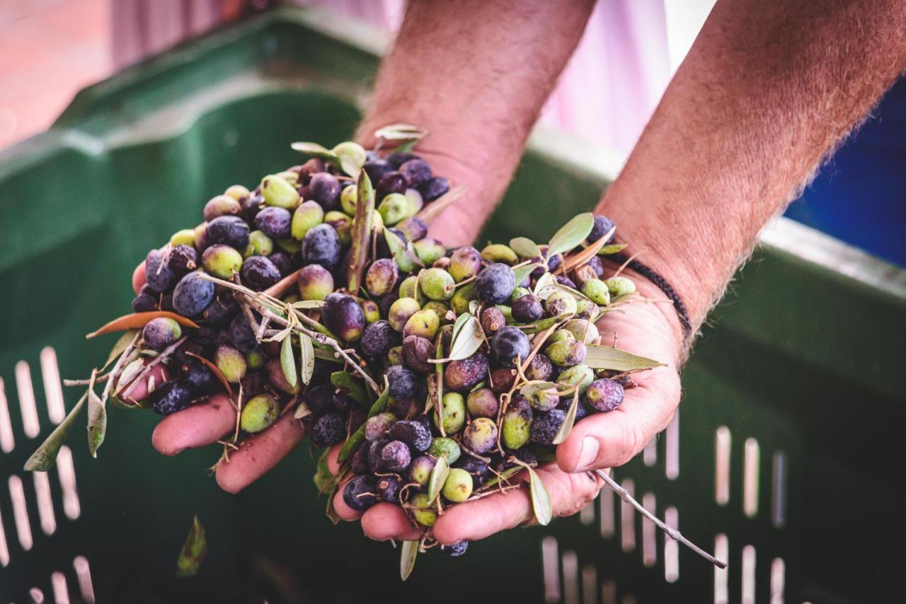 Cyprus Villages Agrotourism