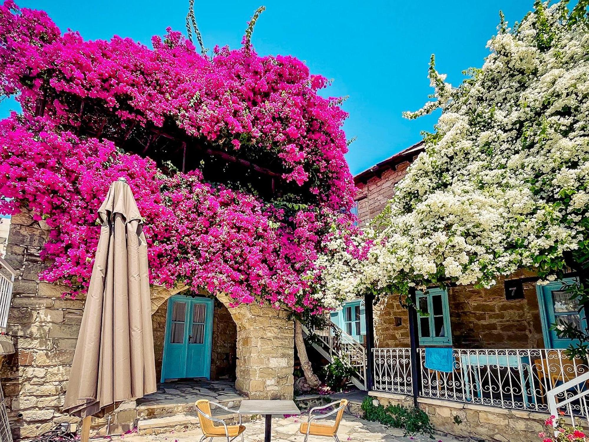 Cyprus Village Traditional