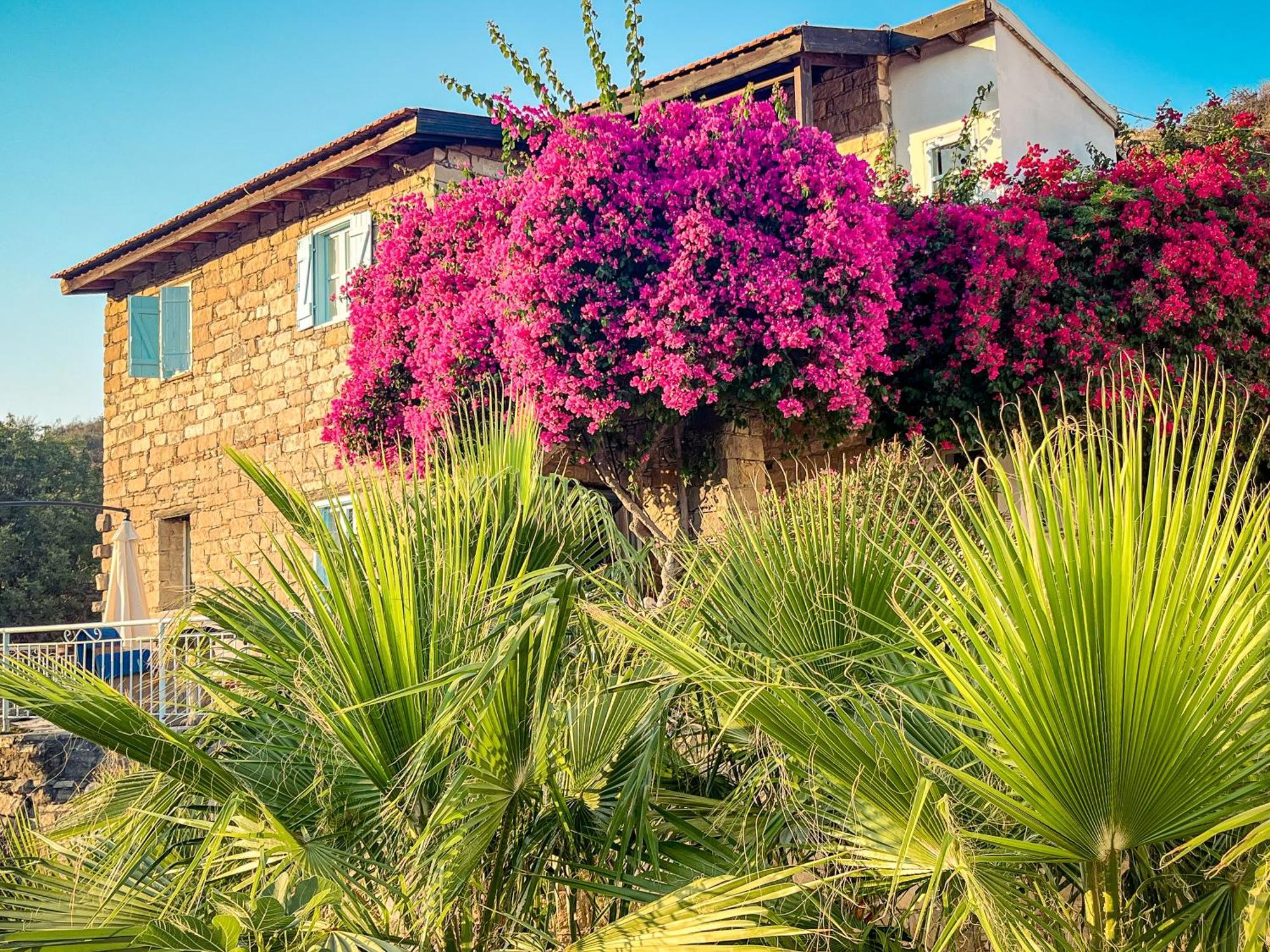 Cyprus Village Traditional